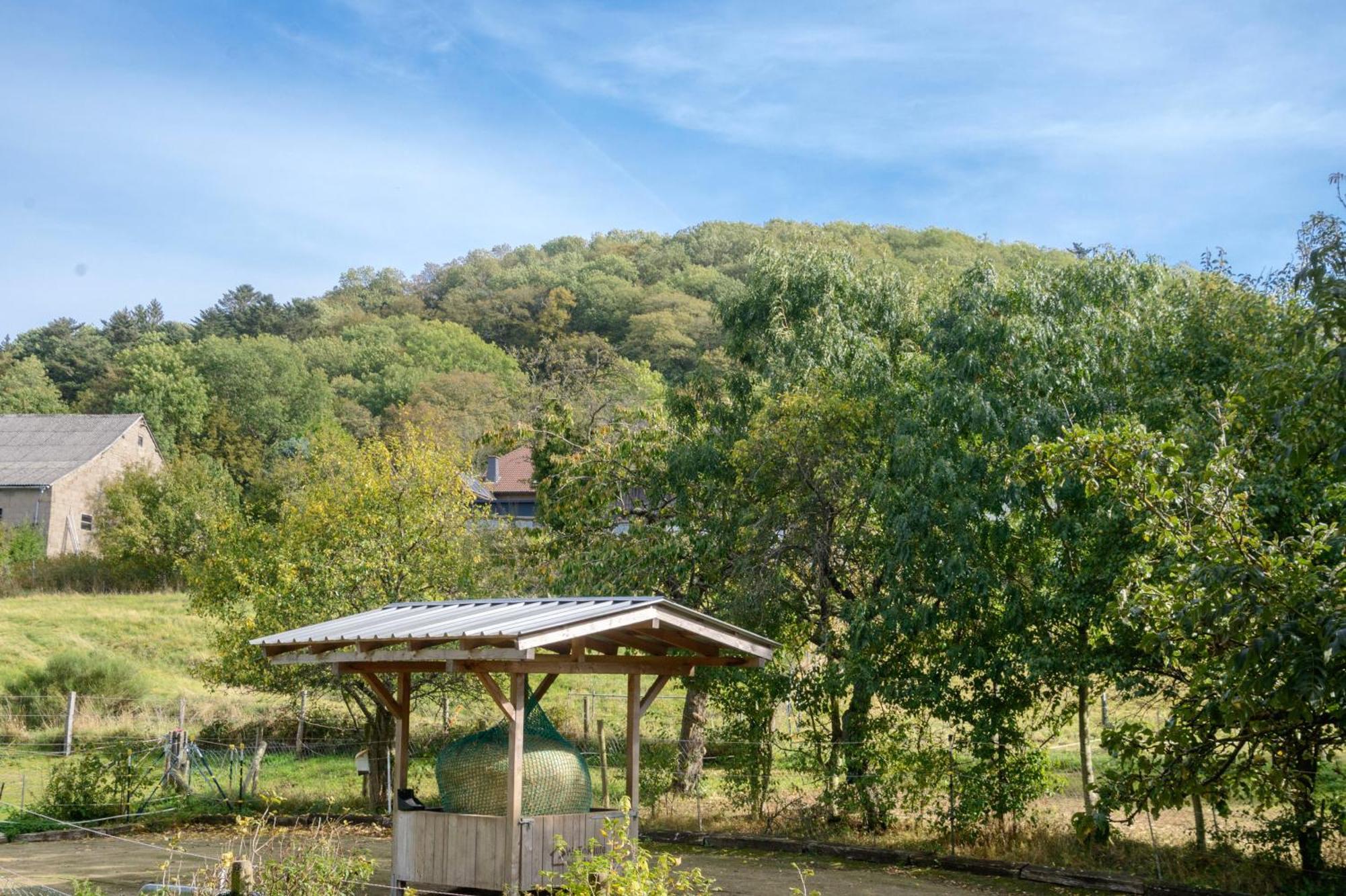 Gasthaus Zur Burgschaenke Aremberg Esterno foto